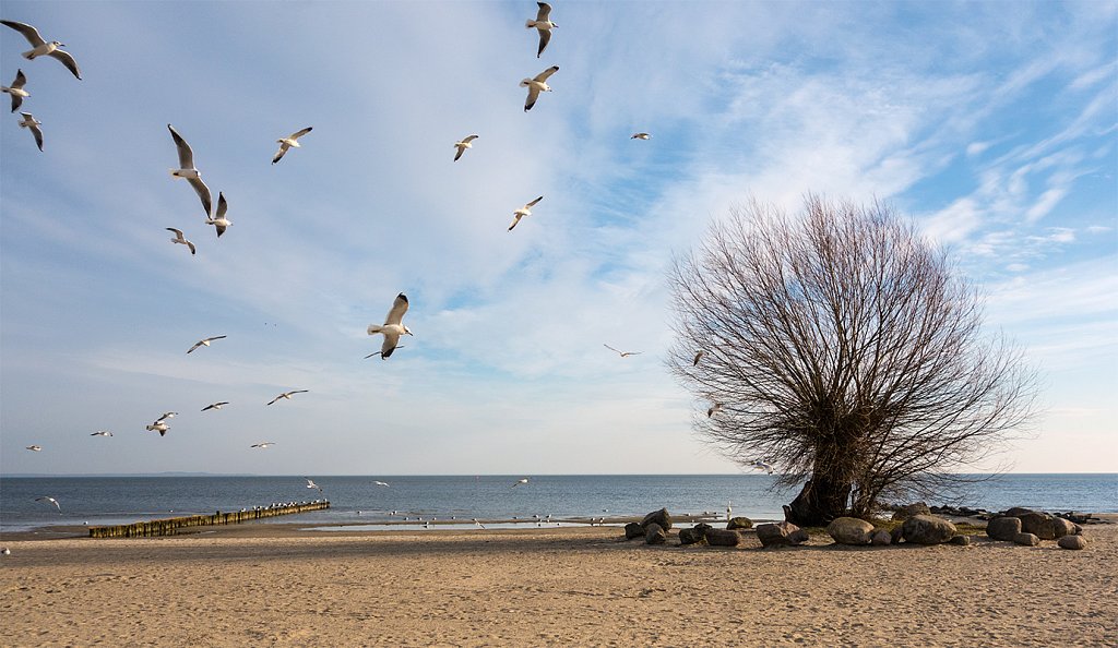 ueckermuende-strand.jpg