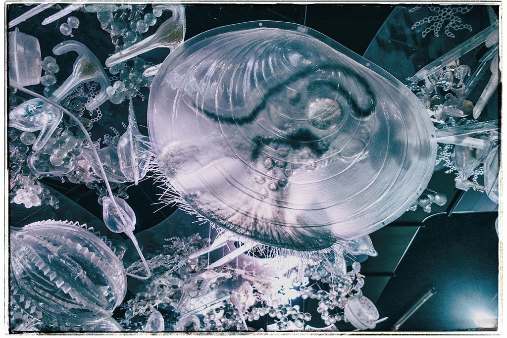 Stralsund - August 2016